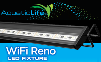 Reno WiFi LED